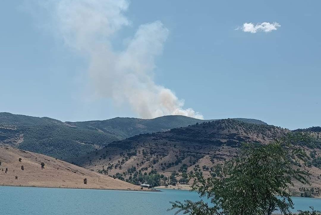 Tunceli’de orman yangını