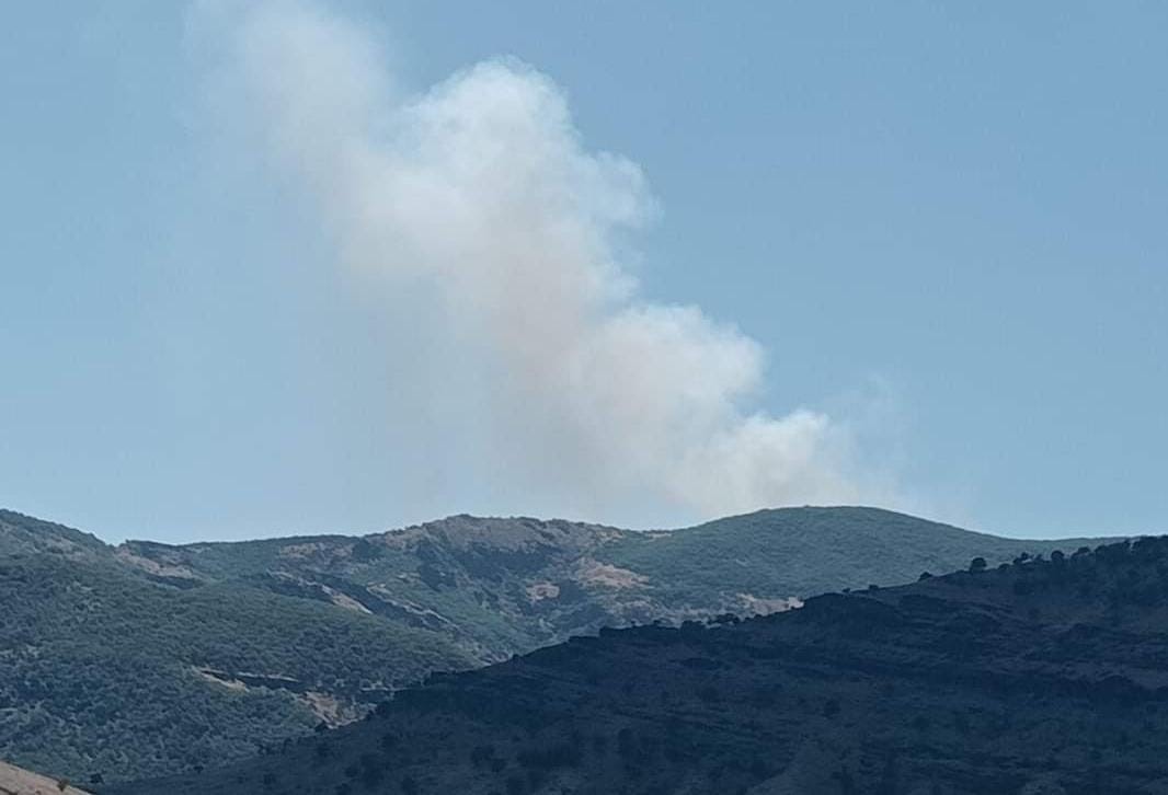 Tunceli’de orman yangını
