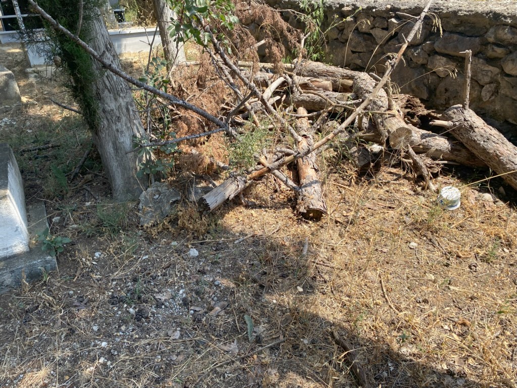 Mezarların &uuml;zerine devrilen ağa&ccedil;ları kaldırmayan belediyeye tepki

