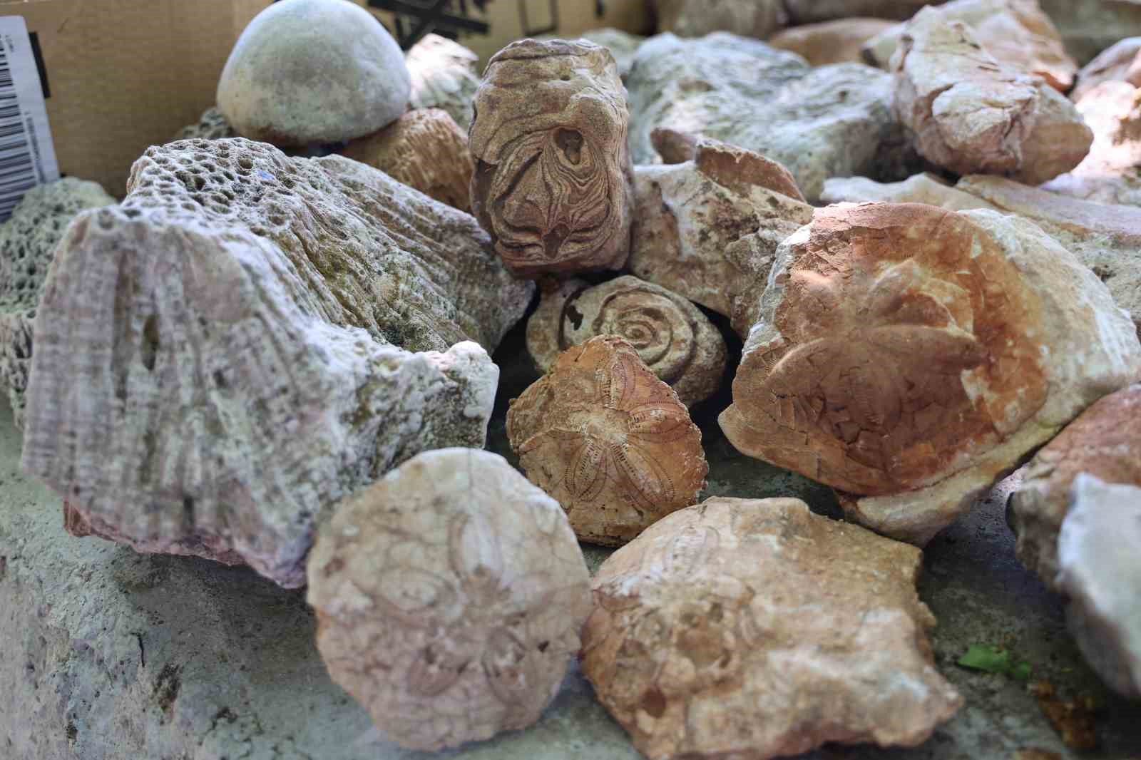 Diyarbakır’da okul müdüründen açık hava müzesi: 350 milyon yıllık denizyıldızı fosillerini sergiliyor