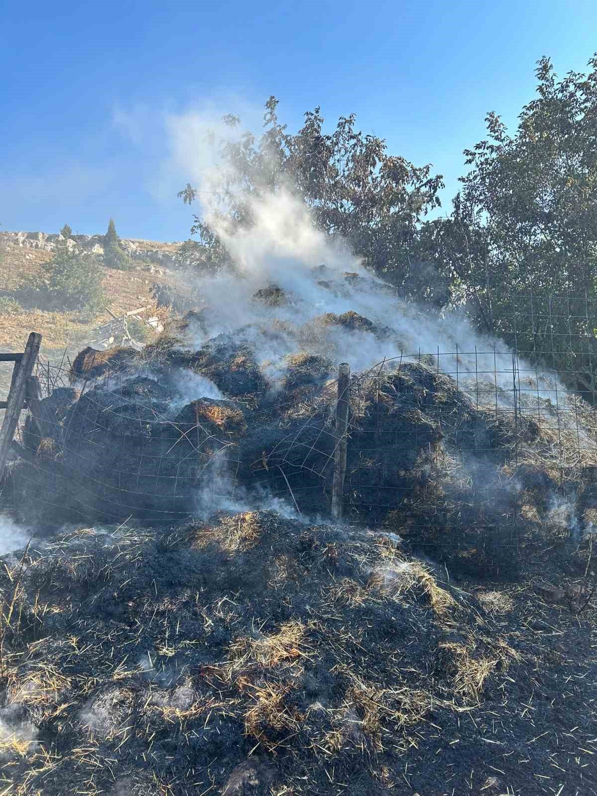 350 adet saman balyası yandı
