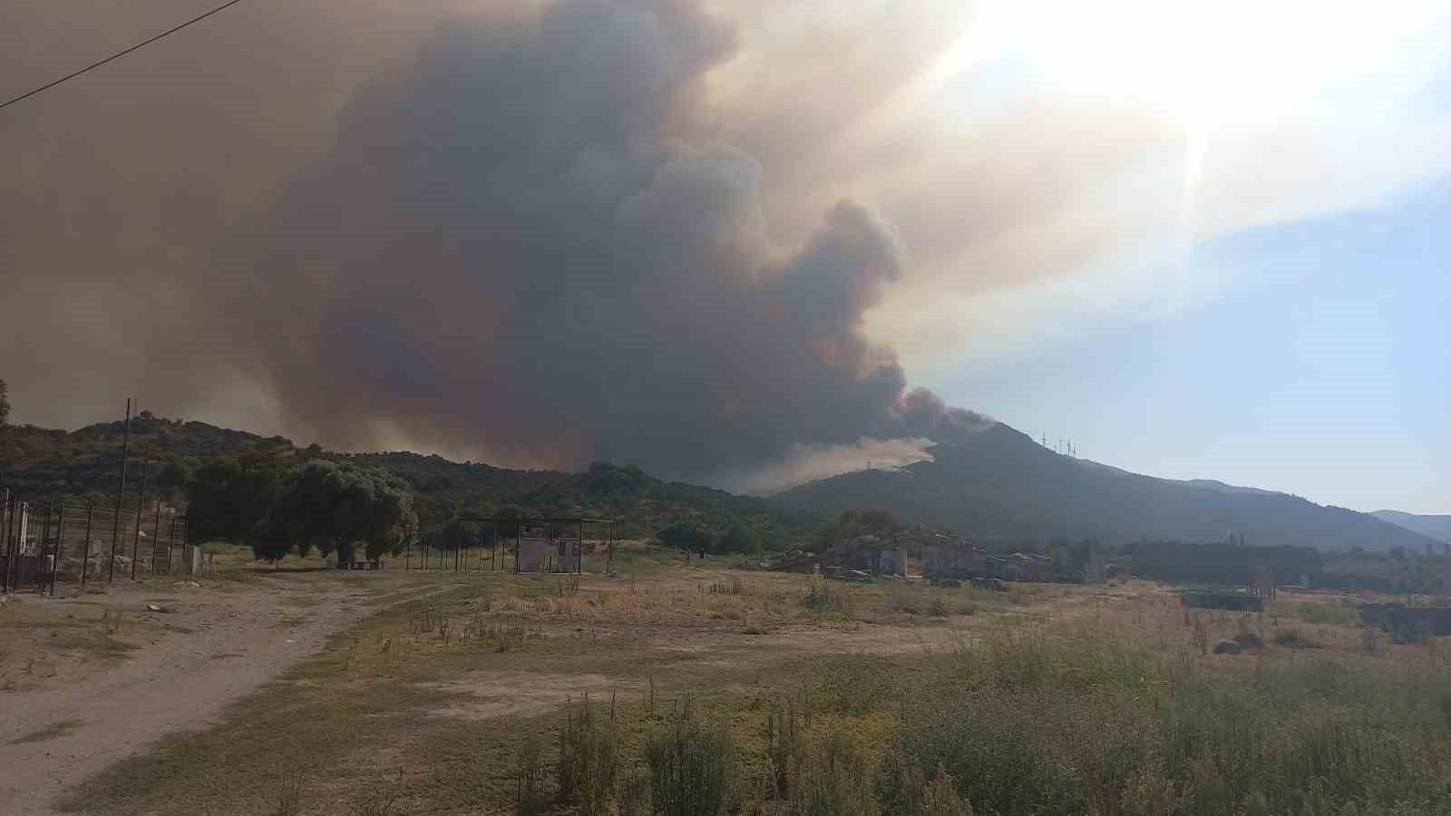 Aydın’daki yangın rüzgarın etkisi ile büyüdü 