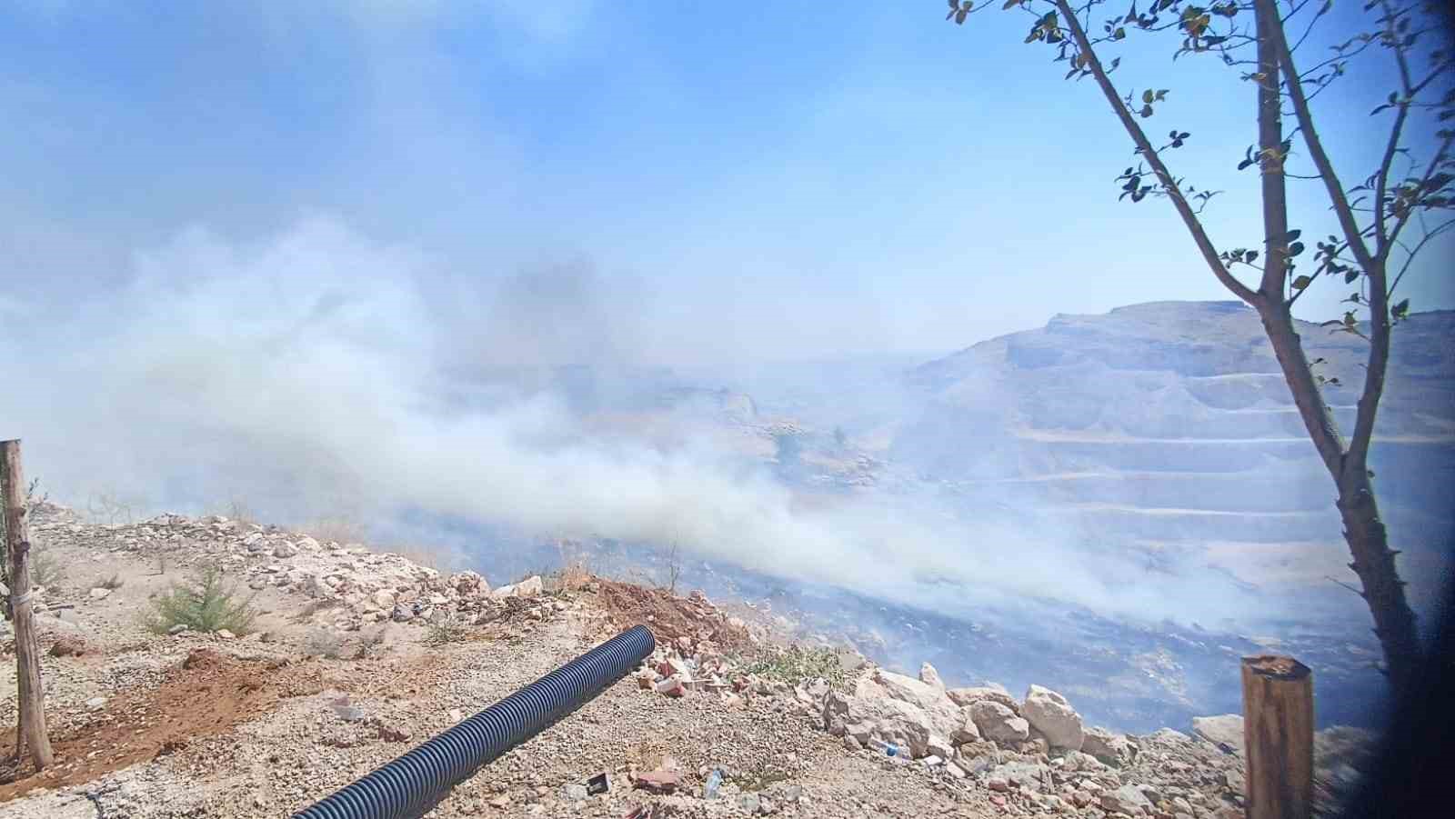 Mardin’de çıkan ot yangını söndürüldü
