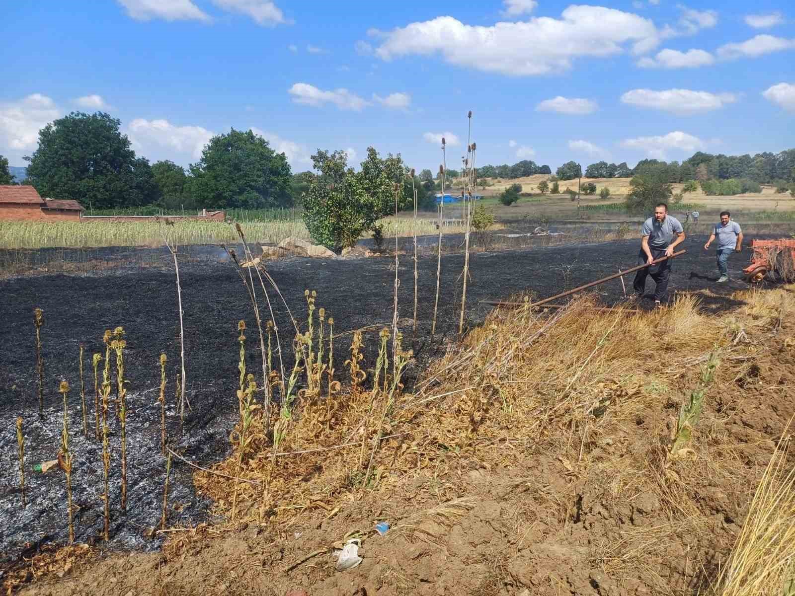 Pazaryeri&rsquo;nde &ccedil;ıkan arazi yangını korkuttu
