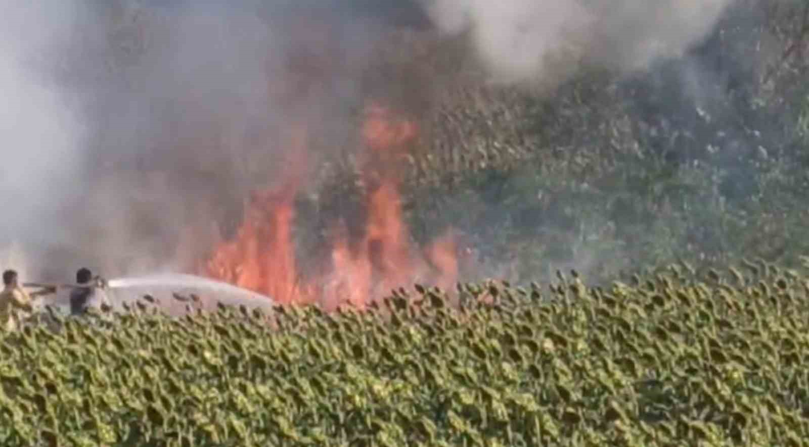Anızdan ormana ve ay&ccedil;i&ccedil;eği tarlasına sı&ccedil;rayan yangın s&ouml;nd&uuml;r&uuml;ld&uuml;
