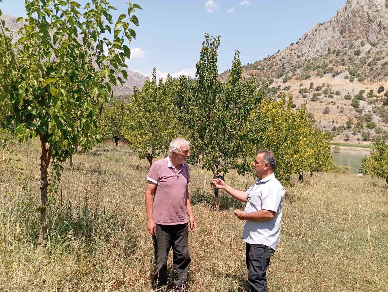 74 yaşındaki Kemaliyeli &ouml;ğretmen 19 bin ağacı toprakla buluşturdu
