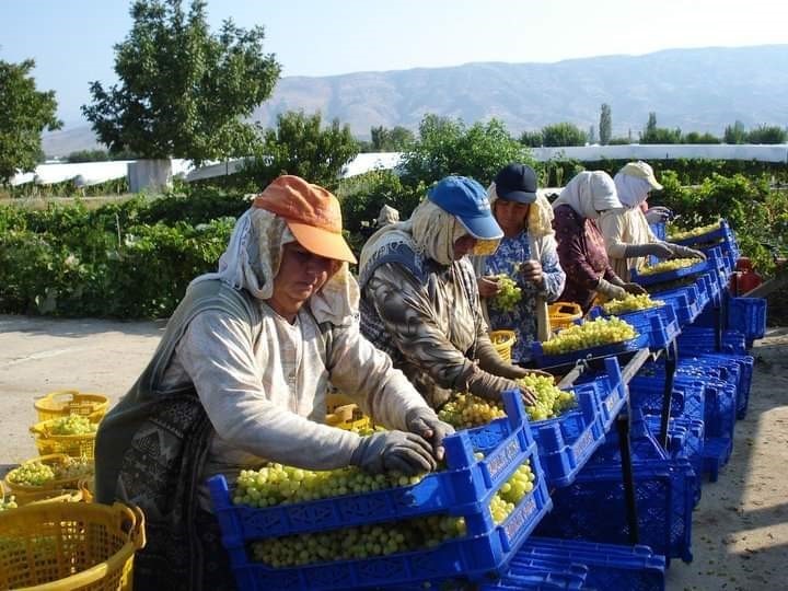 Basit tedbirler sıcak havanın etkisinden koruyor
