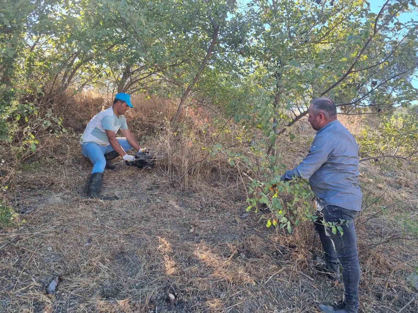 Germencik Belediyesi’nden kültürel tarihe dokunuş
