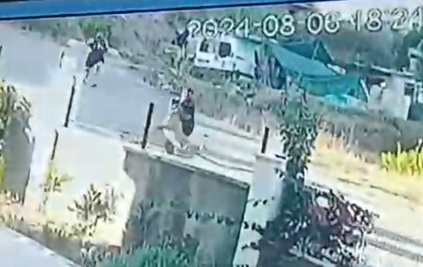 Taş attığı k&ouml;pek zinciri kırarak dehşeti yaşattı
