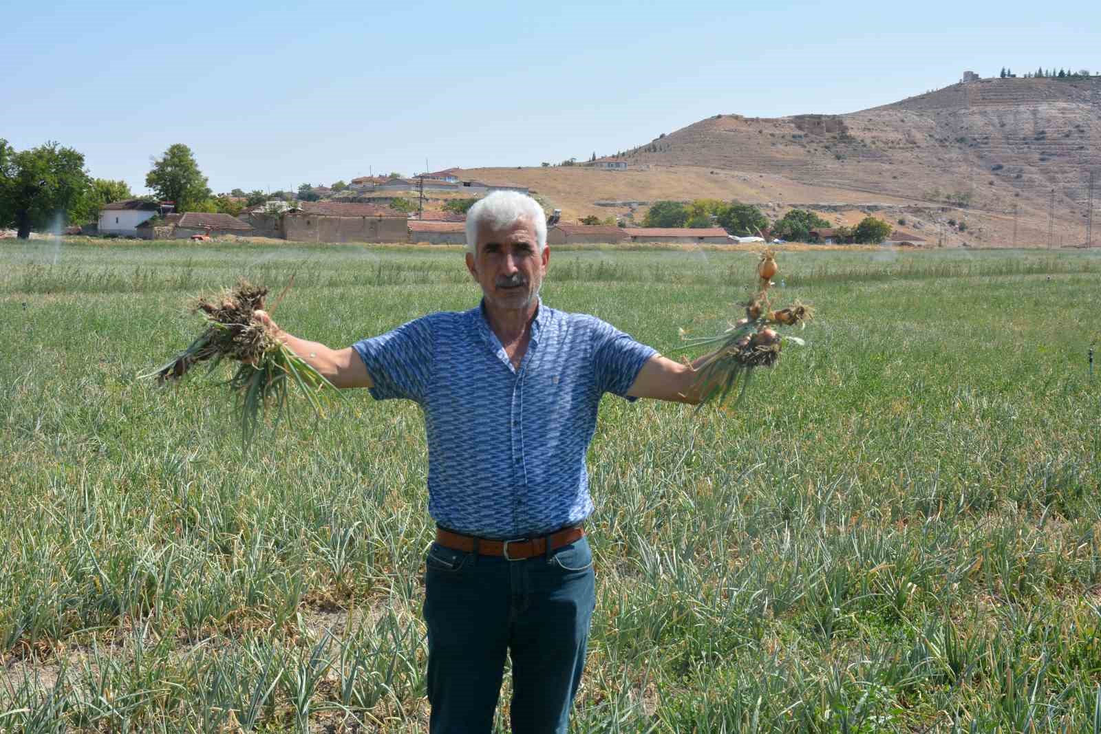 Soğan tarlada yandı