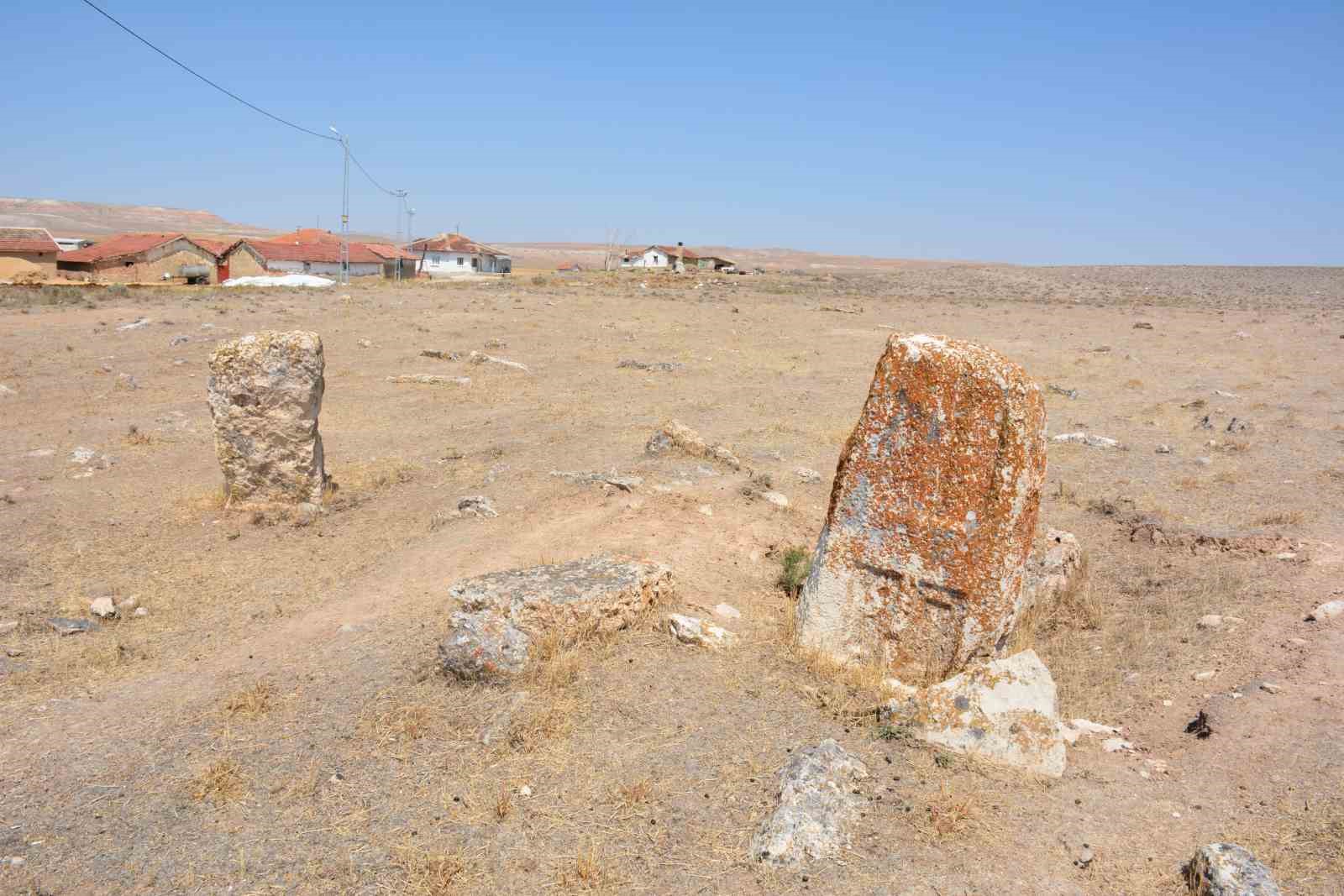 Gazi balıklar yok olma tehditi altında
