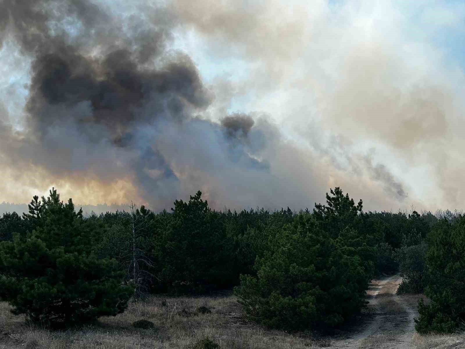 Yozgat’ta orman yangınına müdahale sürüyor