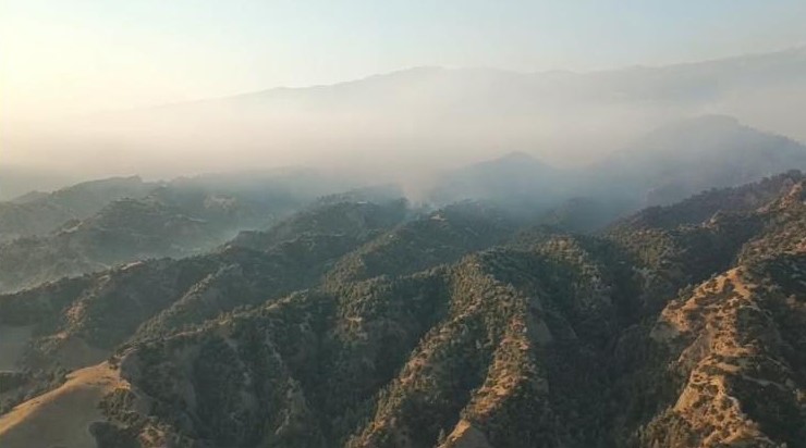 Salihli’deki orman yangını devam ediyor