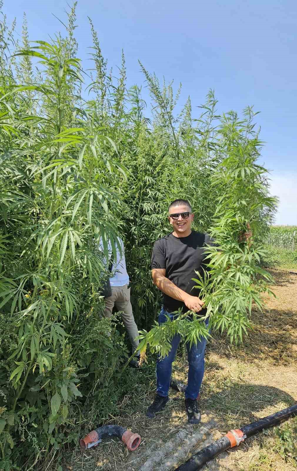 Kulu&rsquo;da kenevir ekimi yapılacak
