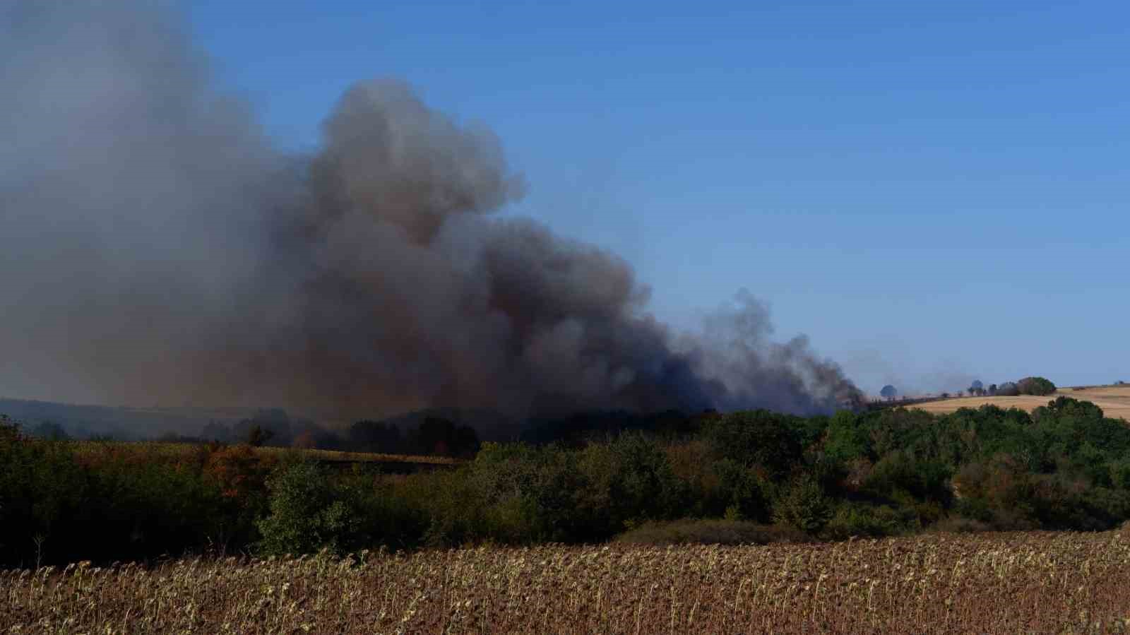 Edirne&rsquo;de 4 k&ouml;y&uuml; etkileyen yangında alevler g&ouml;ğe y&uuml;kseldi 