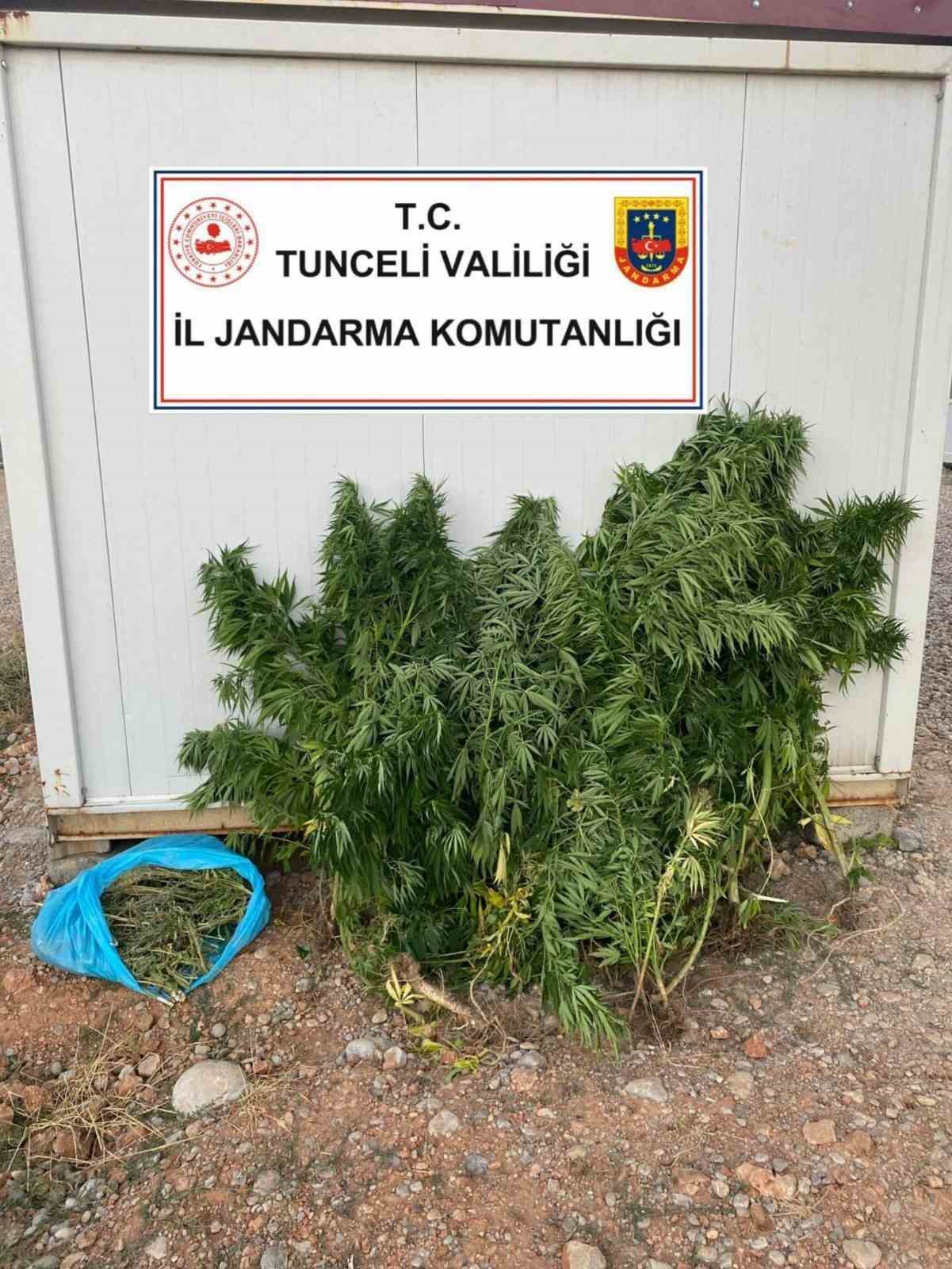 Tunceli’de uyuşturucu operasyonu: 2 tutuklama
