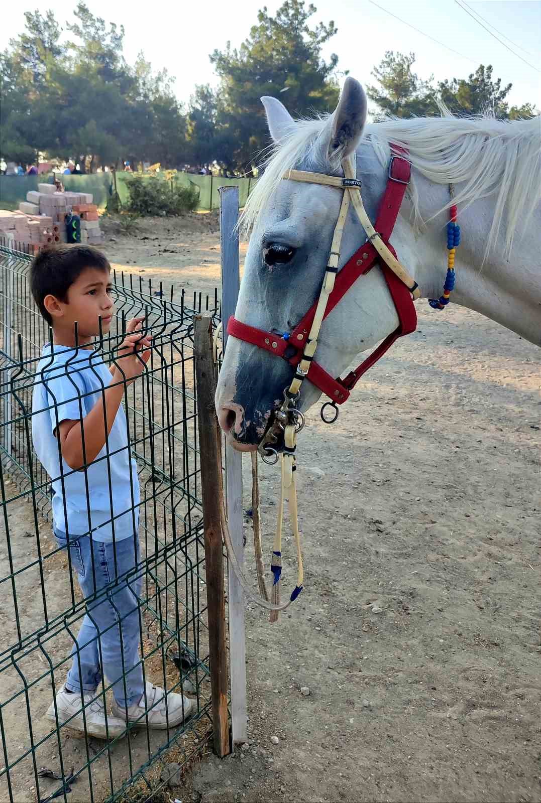 Ortak&ouml;y&rsquo;e piknik&ccedil;i akını
