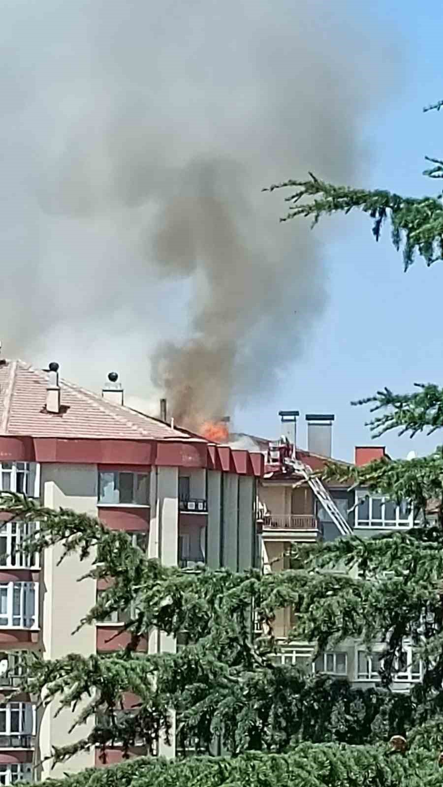 7 katlı apartmanın çatısında çıkan yangın büyük paniğe neden oldu