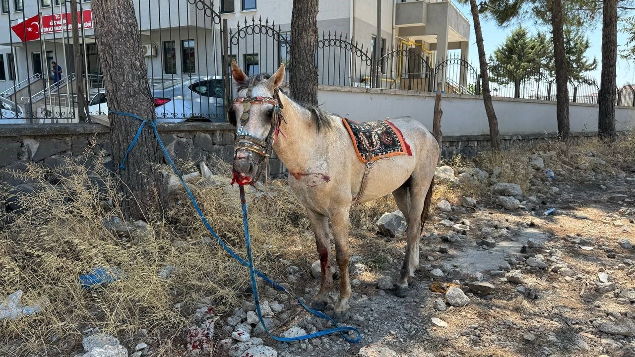 Kilis’te başıboş at zincirleme kazaya neden oldu: 4 yaralı
