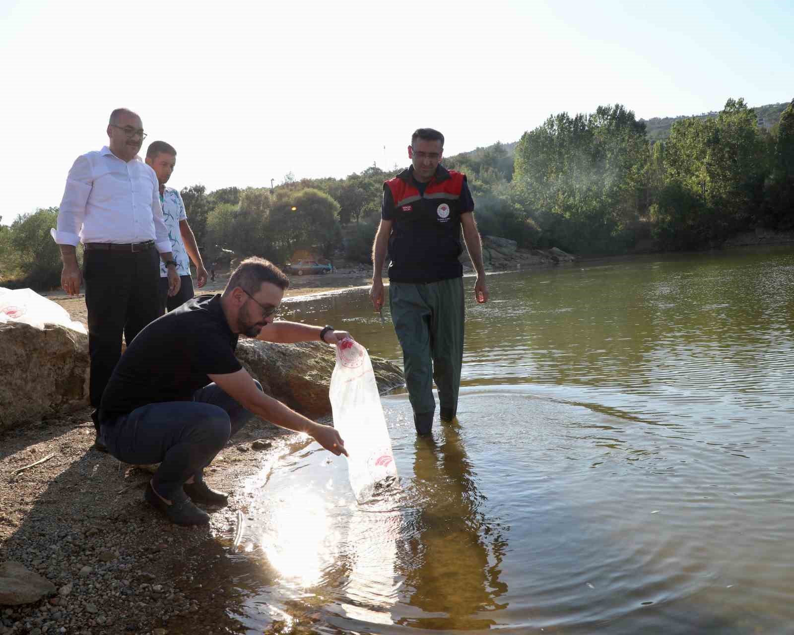 Uşak’a 368 bin adet yavru sazan balığı bırakıldı