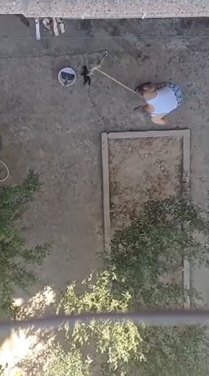Yavru kedileri süpürge sapıyla öldüren şahıs tutuklandı