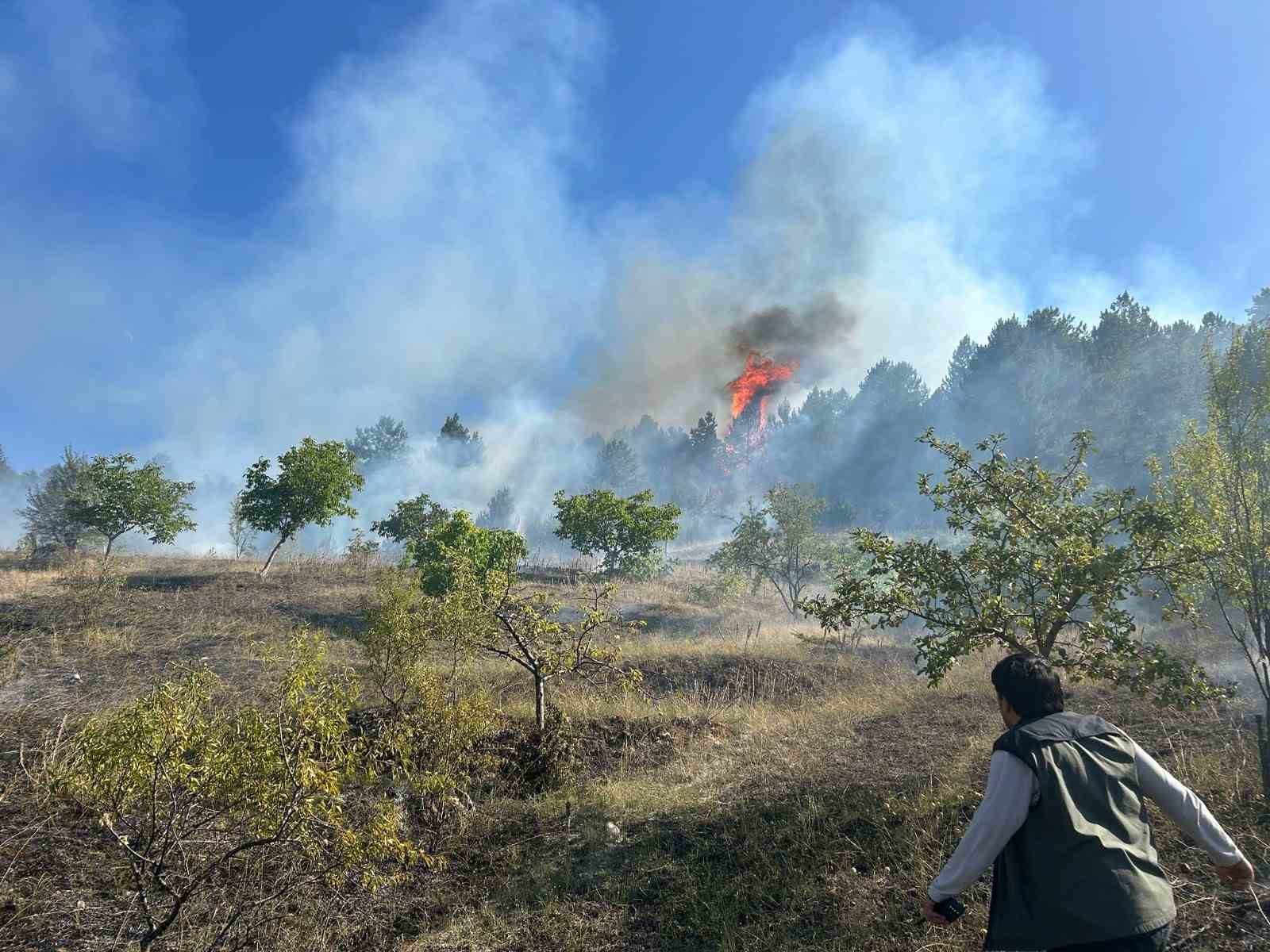 K&uuml;tahya&rsquo;da iki ayrı noktada yangın
