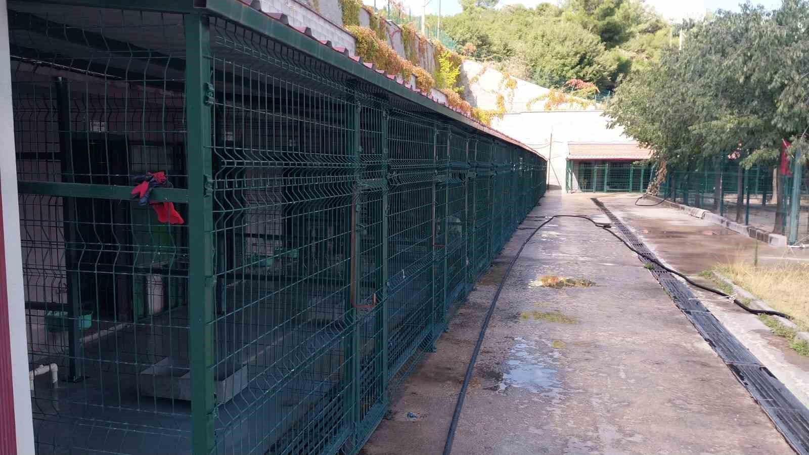 Kent Konseyi&rsquo;nden Sokak Hayvanları Tedavi ve Rehabilitasyon Merkezine ziyaret

