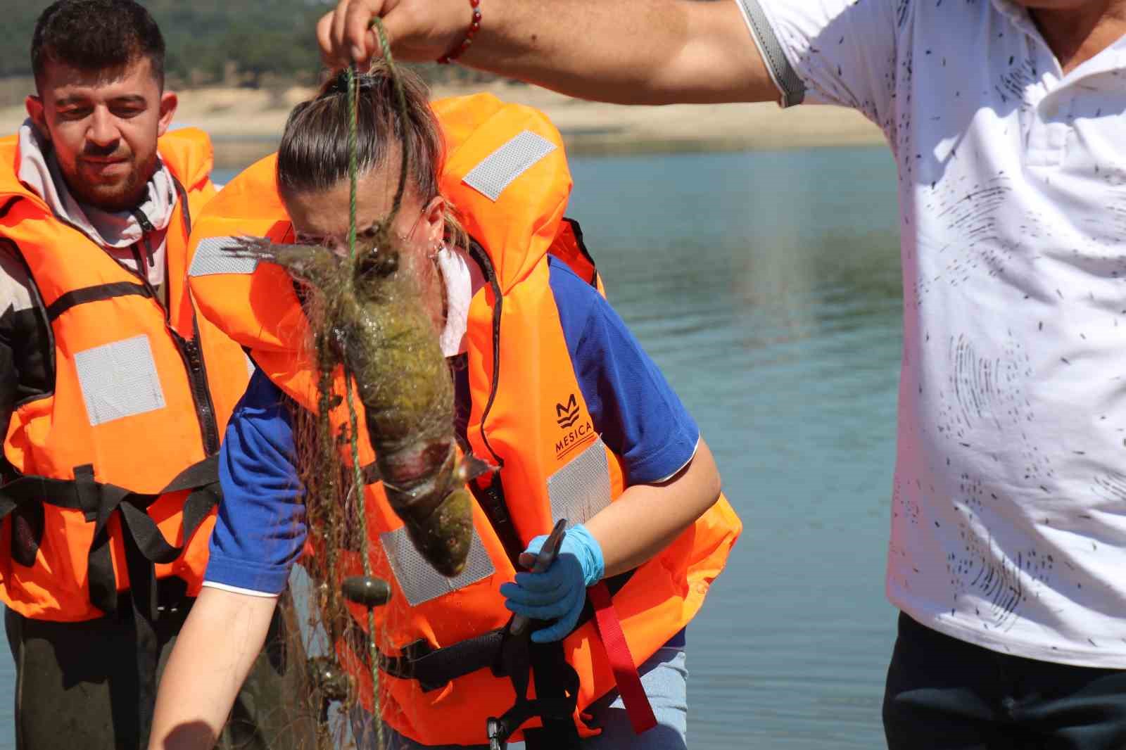 Kaçak avcılara geçit yok: Gölköy’den metrelerce kaçak ağ çıkarıldı
