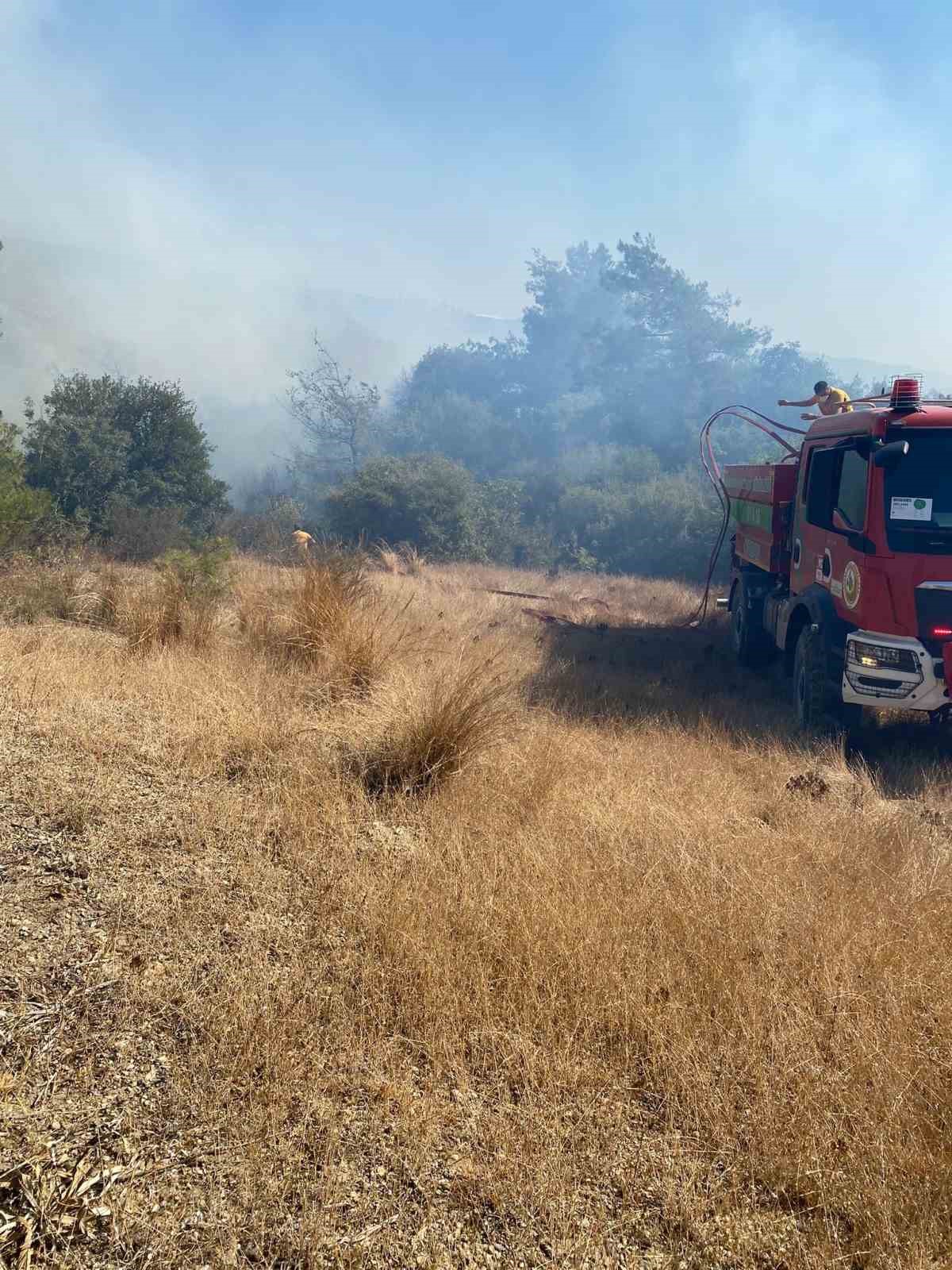 Adana&rsquo;da anız yangını, orman yangınına d&ouml;n&uuml;şt&uuml;
