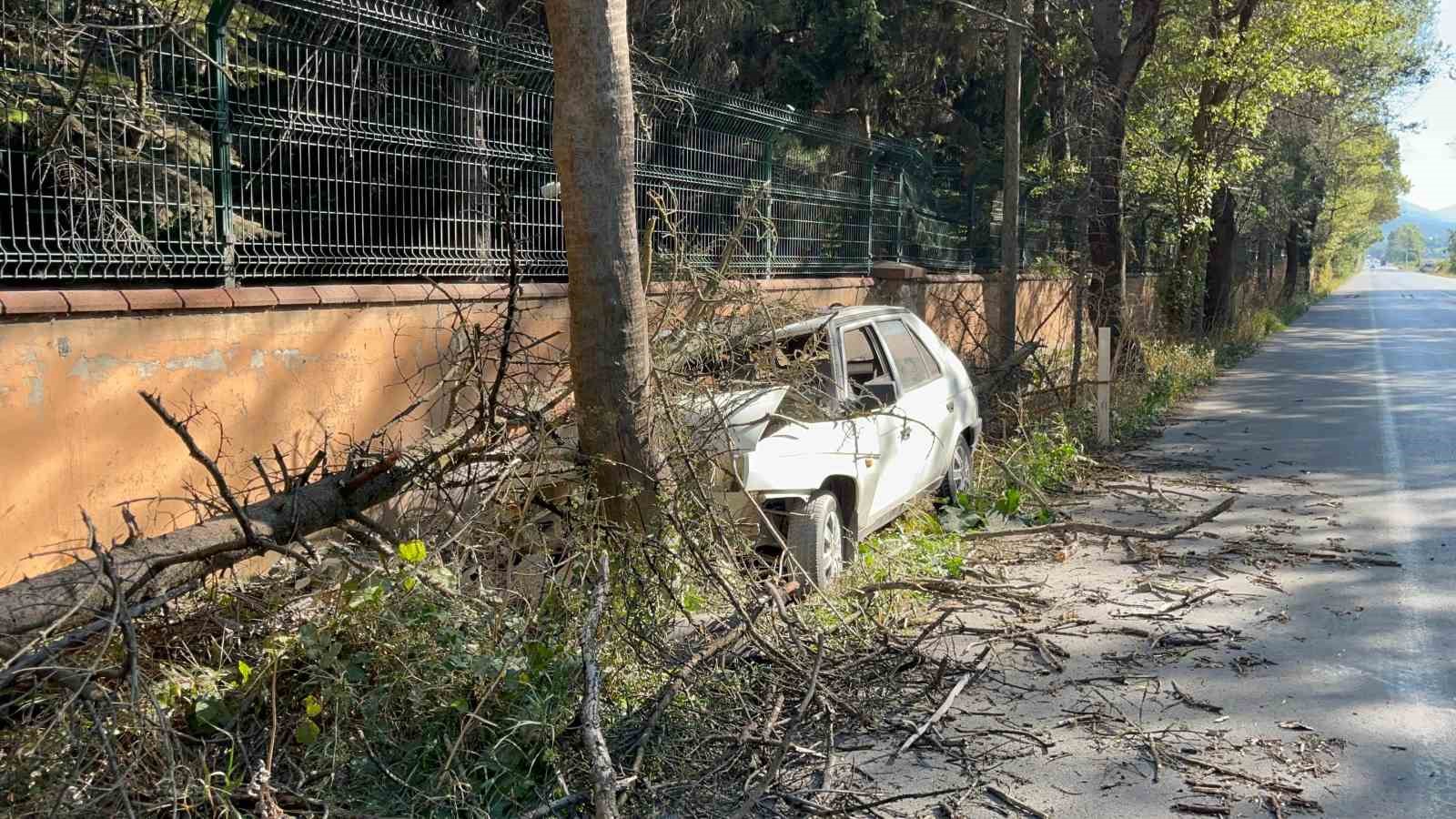 Otomobilin çarptığı ağaç üzerine devrildi, yangın çıktı: 1 yaralı