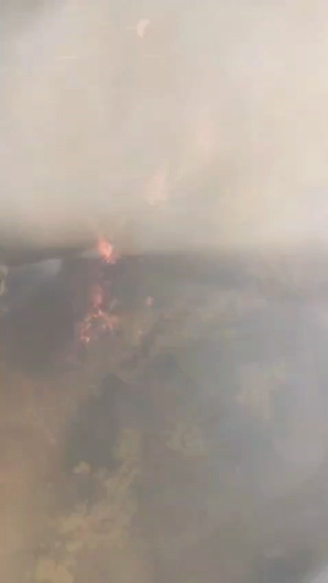 Manisa’daki orman yangınına müdahale devam ediyor