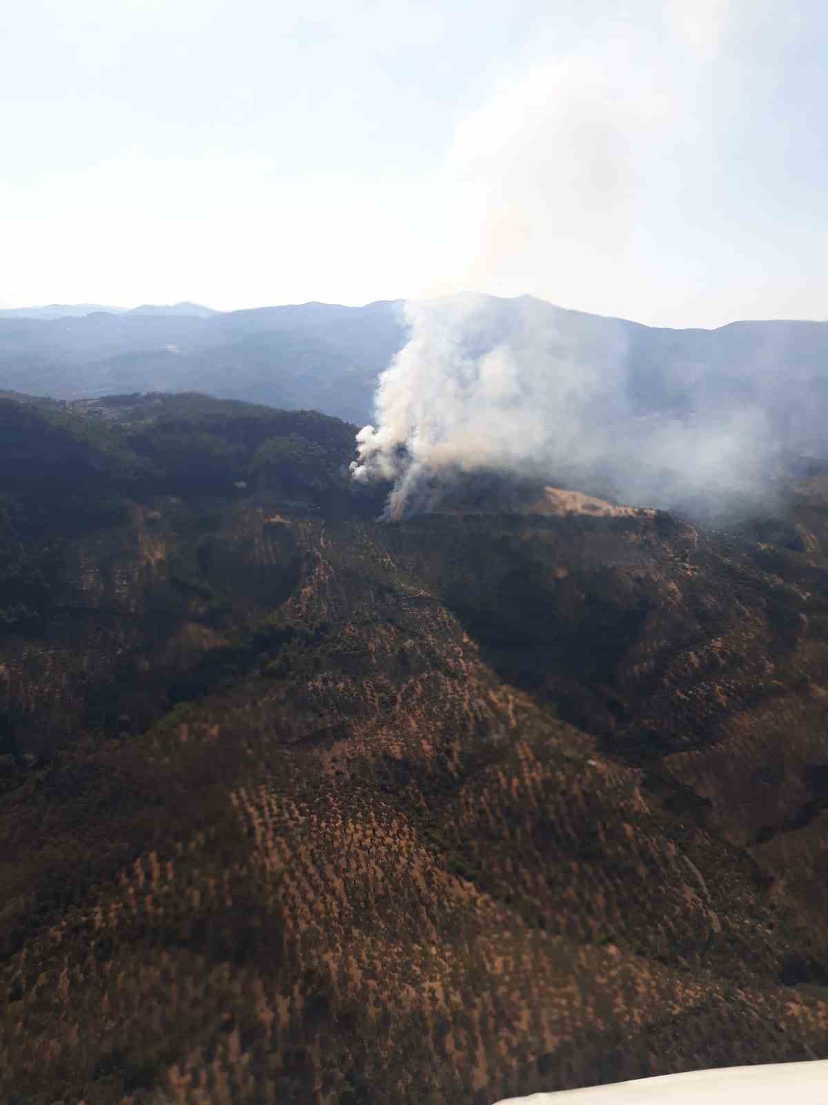 Ayvacık’taki orman yangını kontrol altına alındı