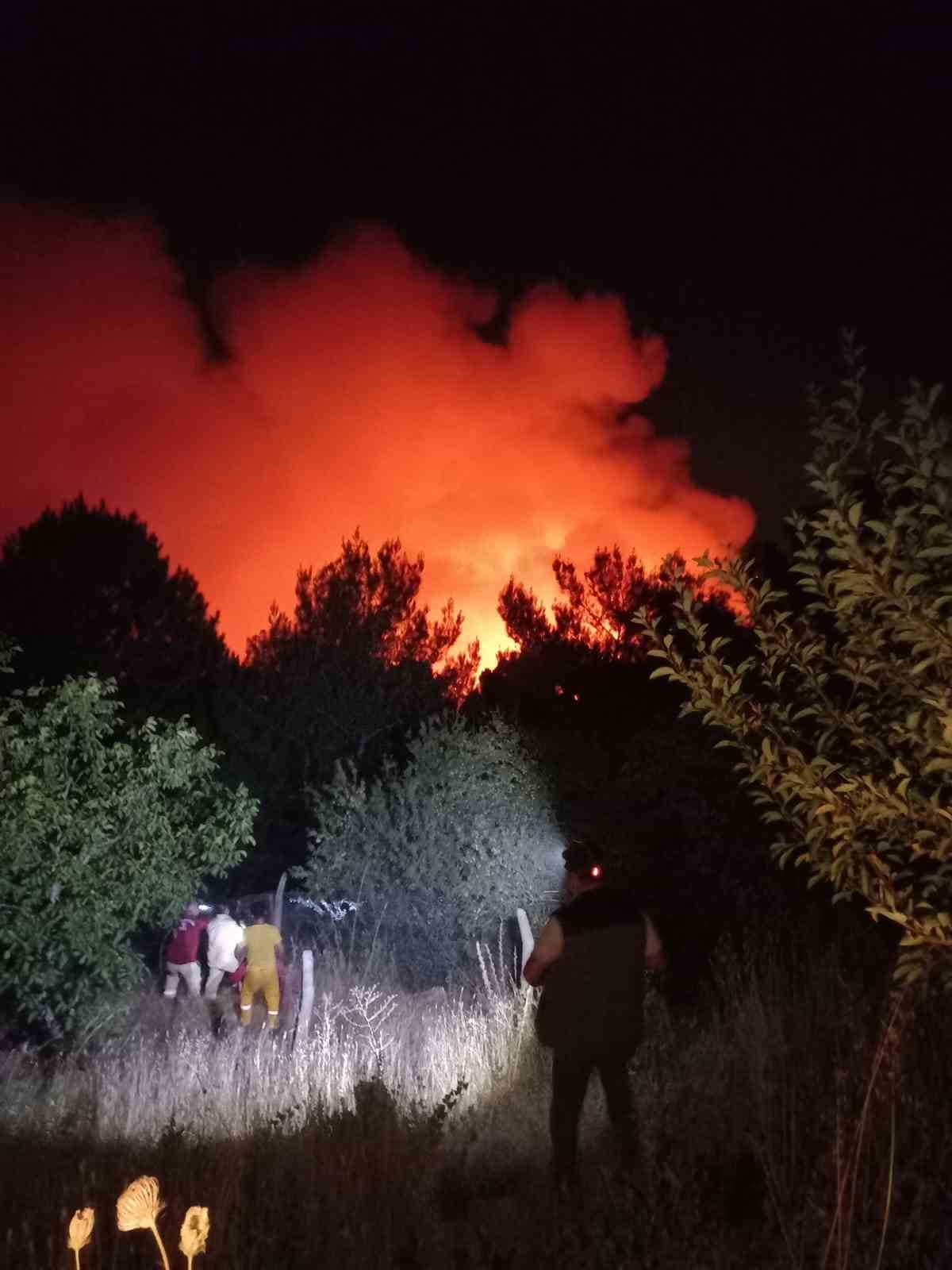 Karşıyaka’da orman yangını