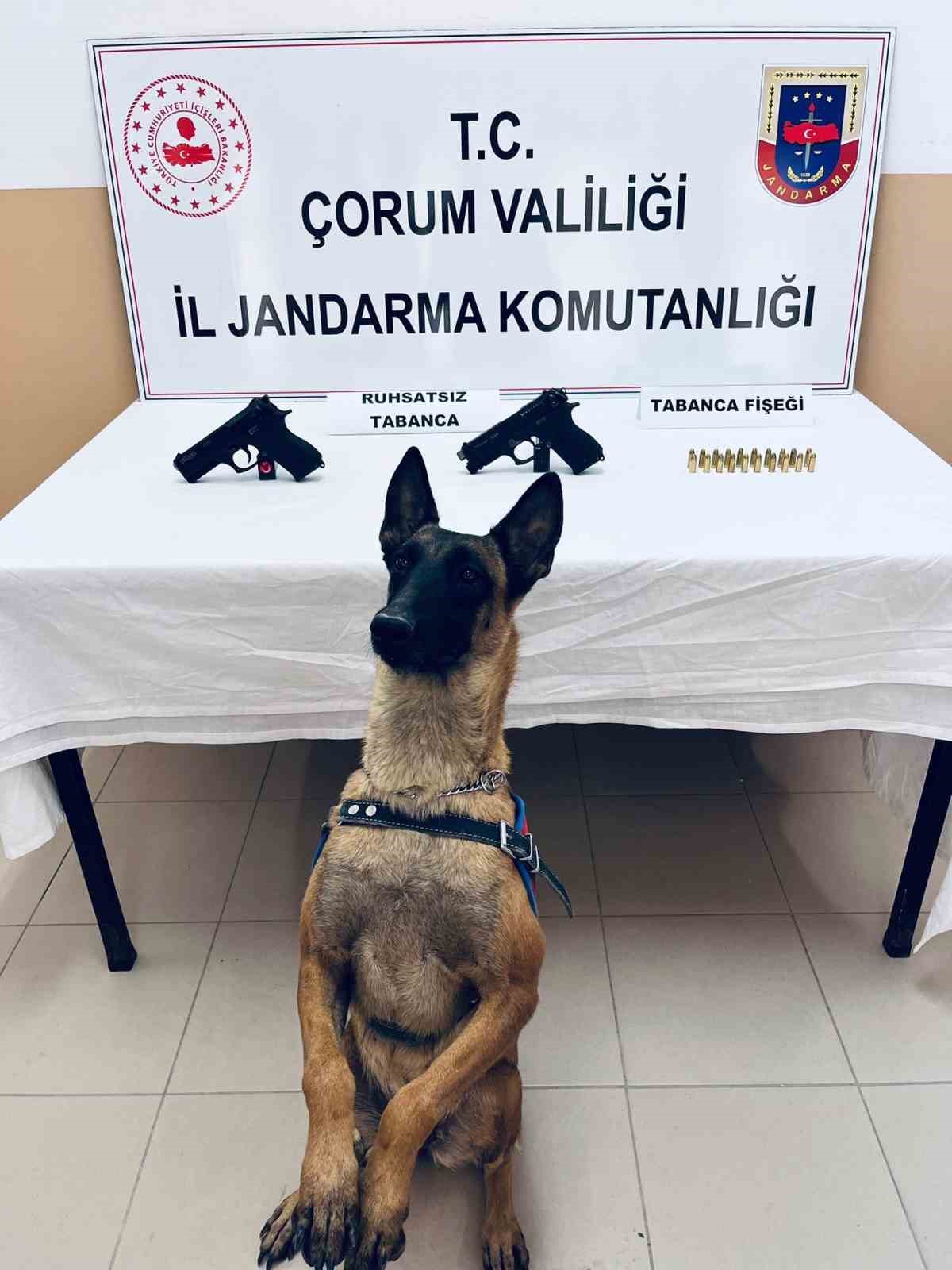 Jandarmanın durdurduğu ara&ccedil;ta 2 tabanca ele ge&ccedil;irildi
