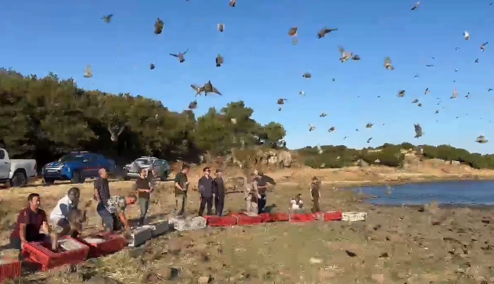 Enez’de 600 çil keklik doğaya bırakıldı