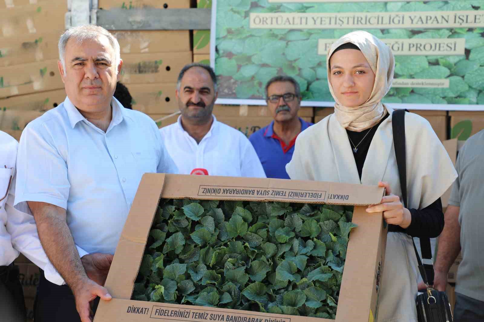 Elazığ’da 42 üreticiye fide dağıtıldı