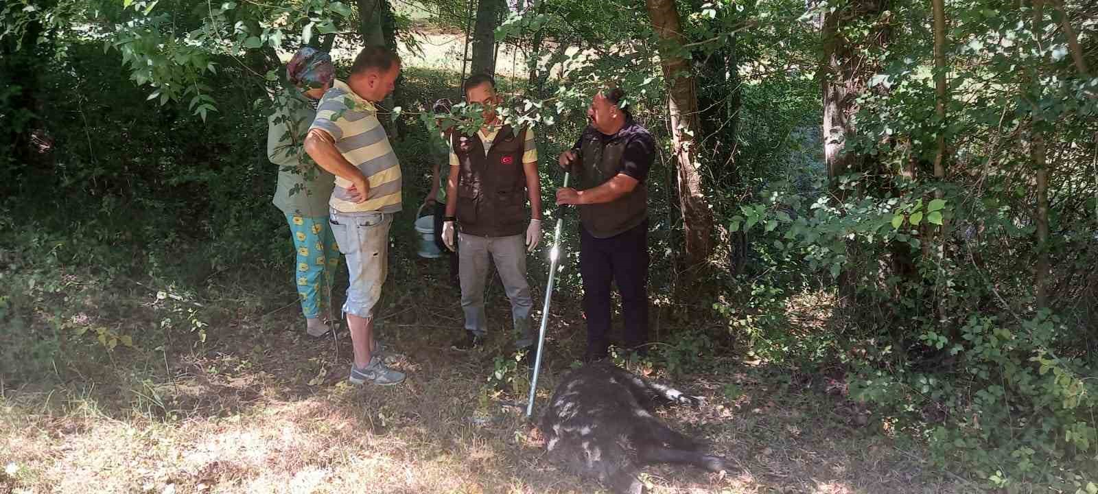 Su kuyusuna düşen yavru yaban domuzu DKMP ekiplerince kurtarıldı