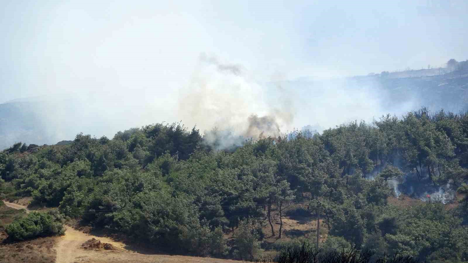 Bozcaada&rsquo;da ziraat alanında başlayan yangın ormanlık alana sı&ccedil;radı
