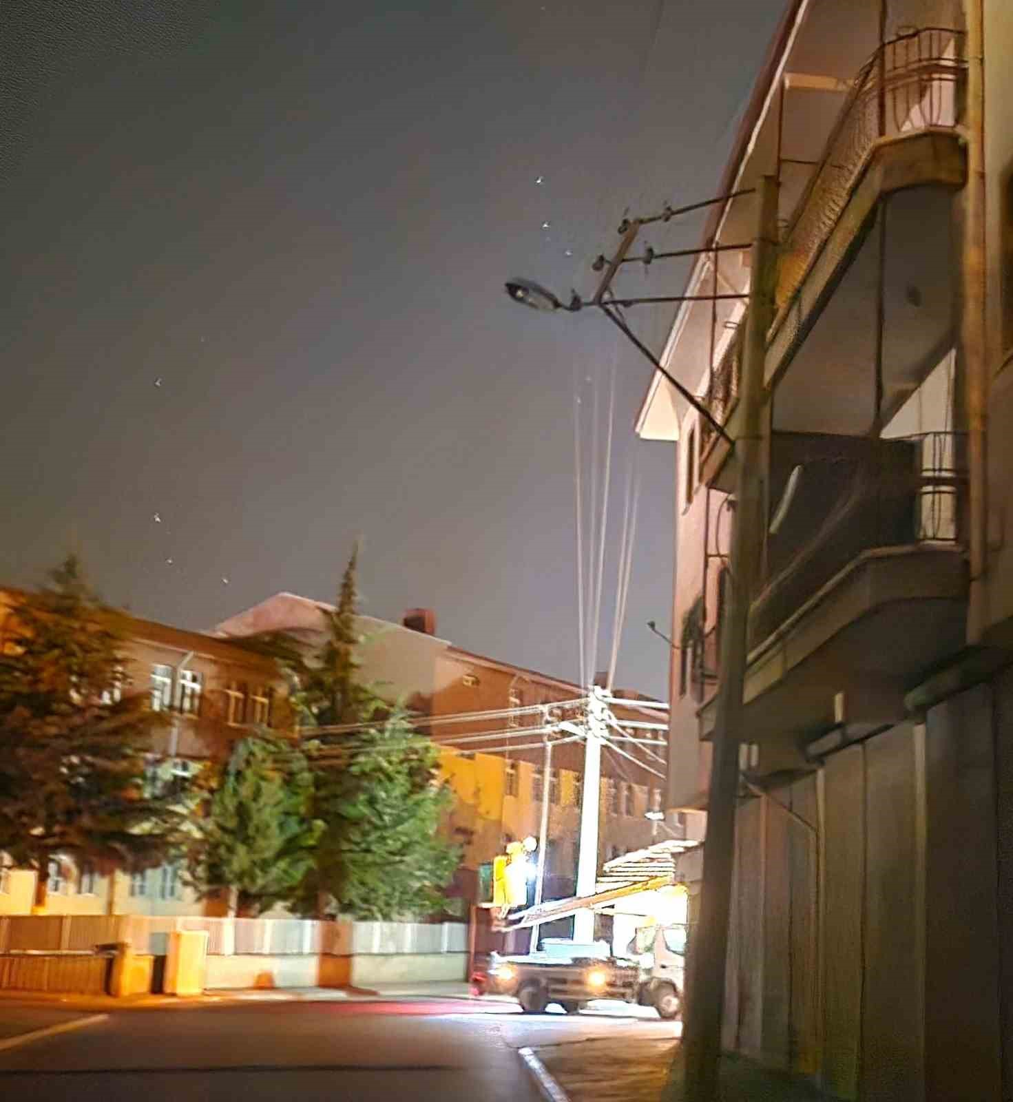 Elektrik direğine &ccedil;arpan s&uuml;r&uuml;c&uuml; kayıplara karıştı
