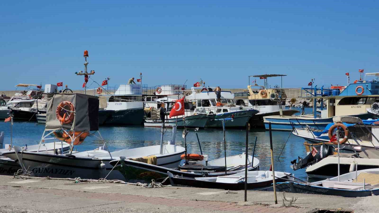 Balıkçılar yeni sezonda palamuttan umutlu
