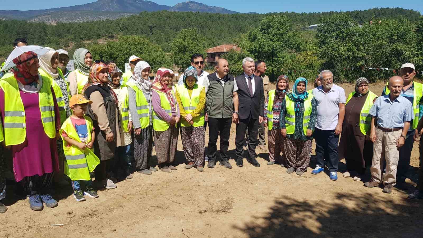 Dünyanın en pahalı baharatı safranın üretimine ORKÖY’den destek
