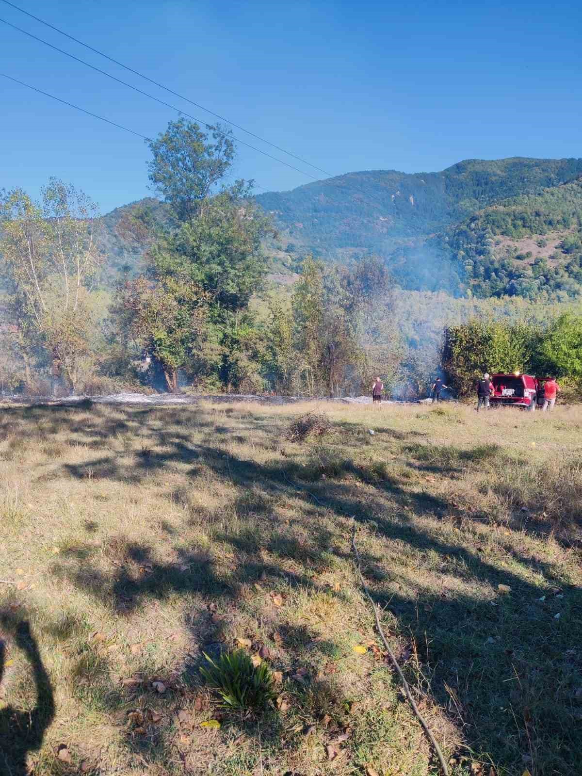 Bartın’da anız yangını
