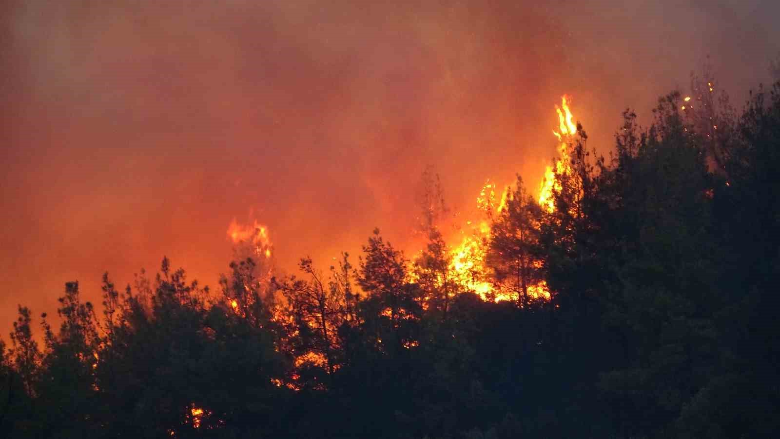 Çanakkale’deki orman yangını devam ediyor