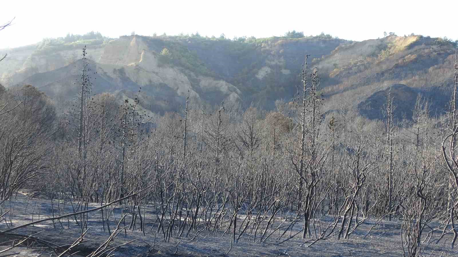 Tarihi Gelibolu Yarımadası&rsquo;ndaki yangında alevlerden etkilenen Anzak Koyu dron ile g&ouml;r&uuml;nt&uuml;lendi
