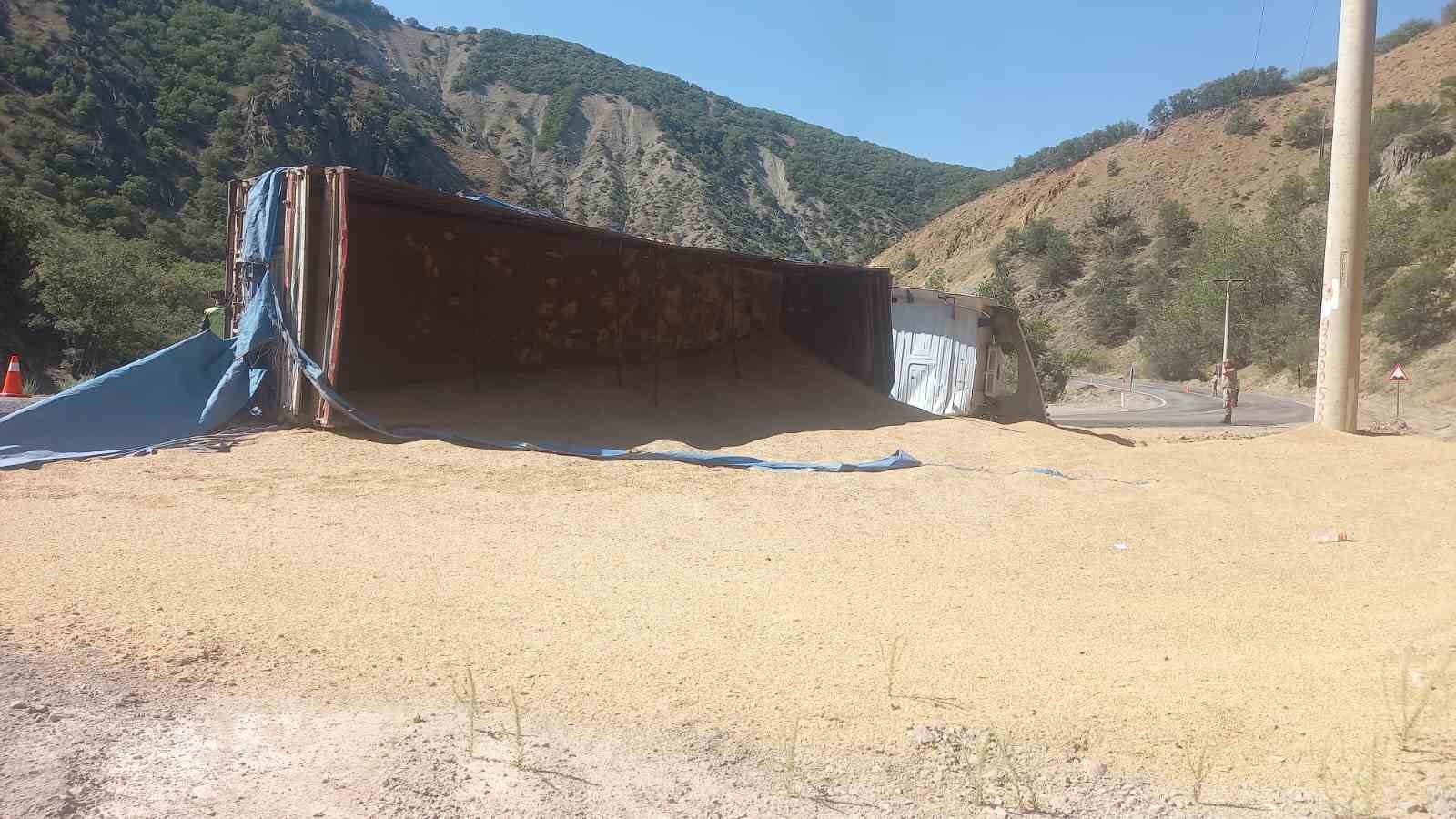 Tunceli’de, buğday yüklü tır devrildi
