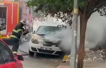 Park halindeki ara&ccedil; alevlere teslim oldu
