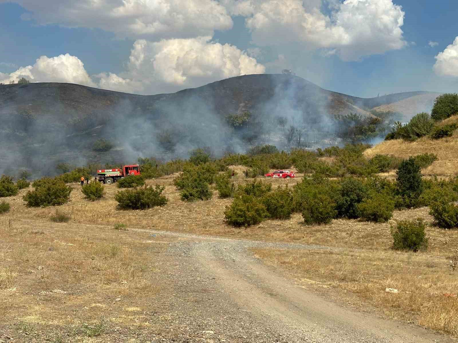 Bingöl’de çıkan orman yangını evlere sıçramadan söndürüldü
