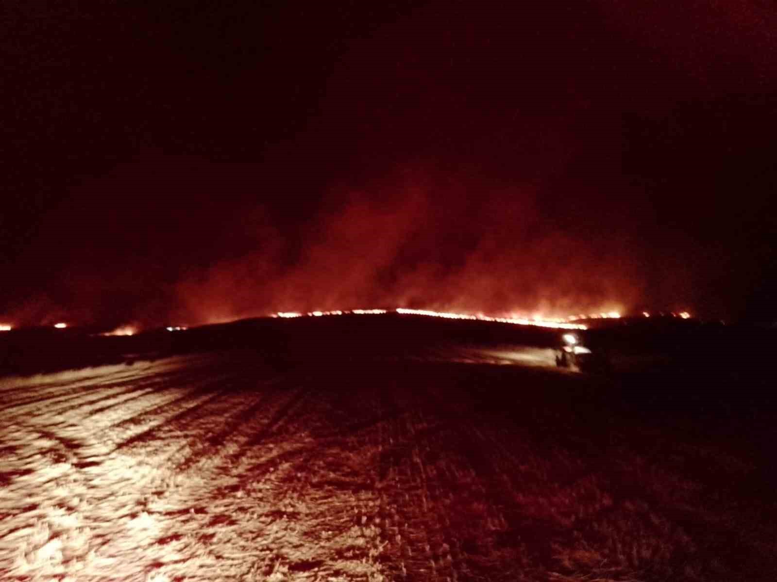 Diyarbakır&rsquo;da anız yangını: Bin d&ouml;n&uuml;m arazi zarar g&ouml;rd&uuml;

