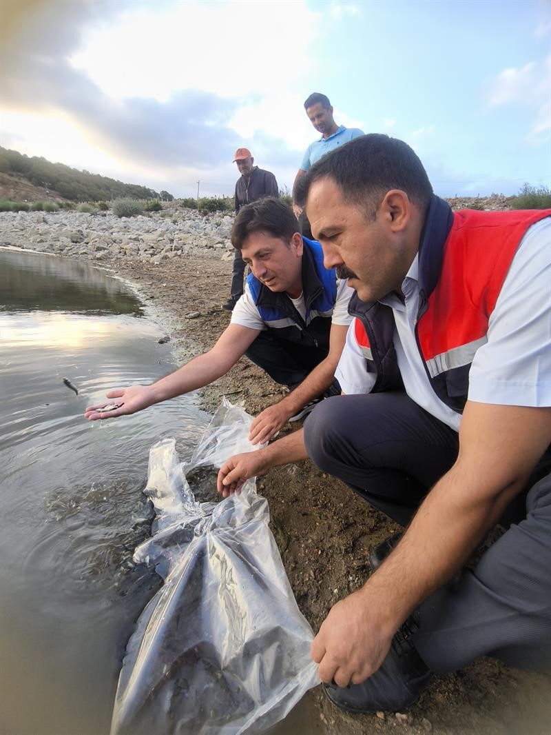 Bilecik&rsquo;te 14 farklı g&ouml;le 134 bin 500 adet sazan balığı yavrusu bırakıldı

