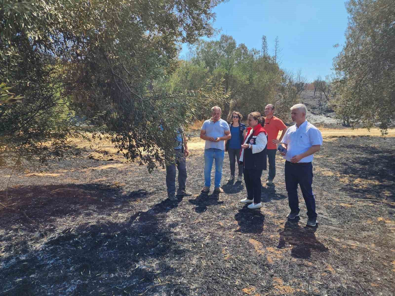 &Ccedil;anakkale&rsquo;de orman yangının ardından hasar tespit &ccedil;alışmaları başladı
